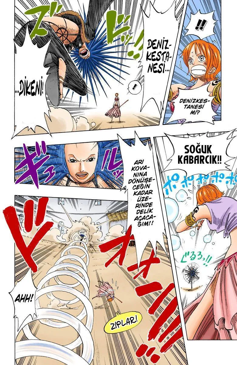 One Piece [Renkli] - Sayfa 13