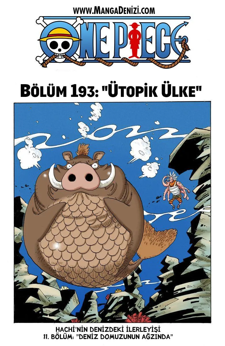 One Piece [Renkli] - Sayfa 2