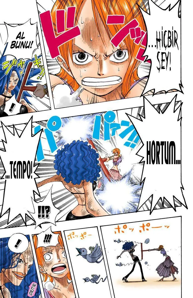 One Piece [Renkli] - Sayfa 6