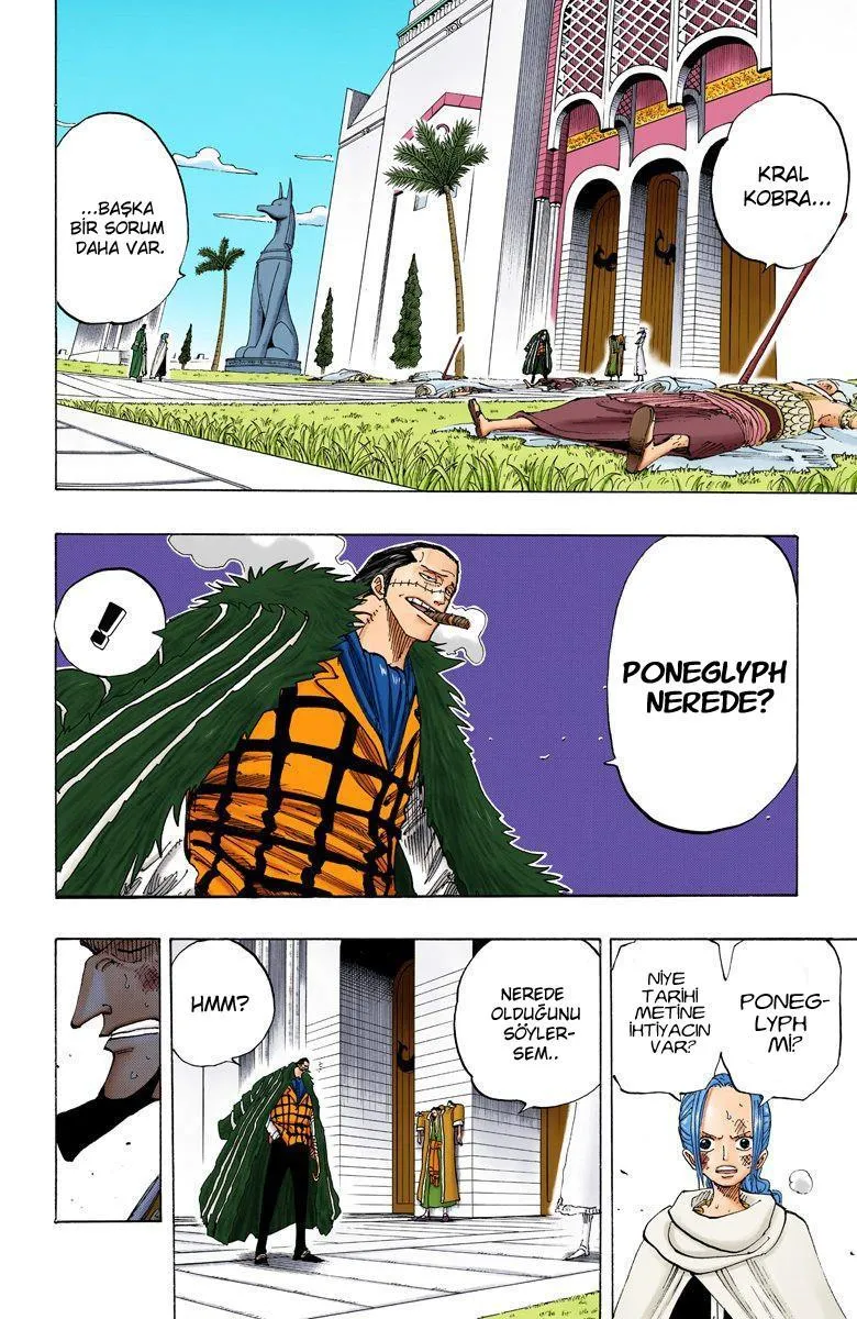 One Piece [Renkli] - Sayfa 14