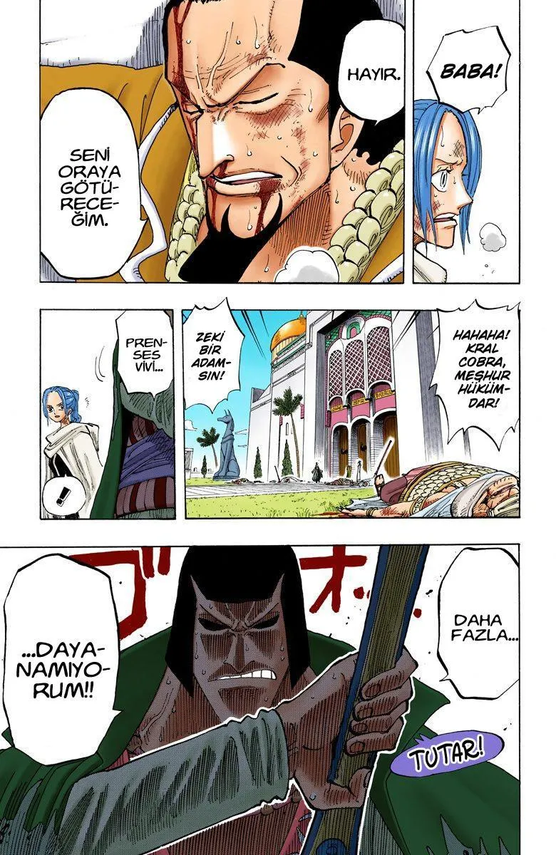 One Piece [Renkli] - Sayfa 15