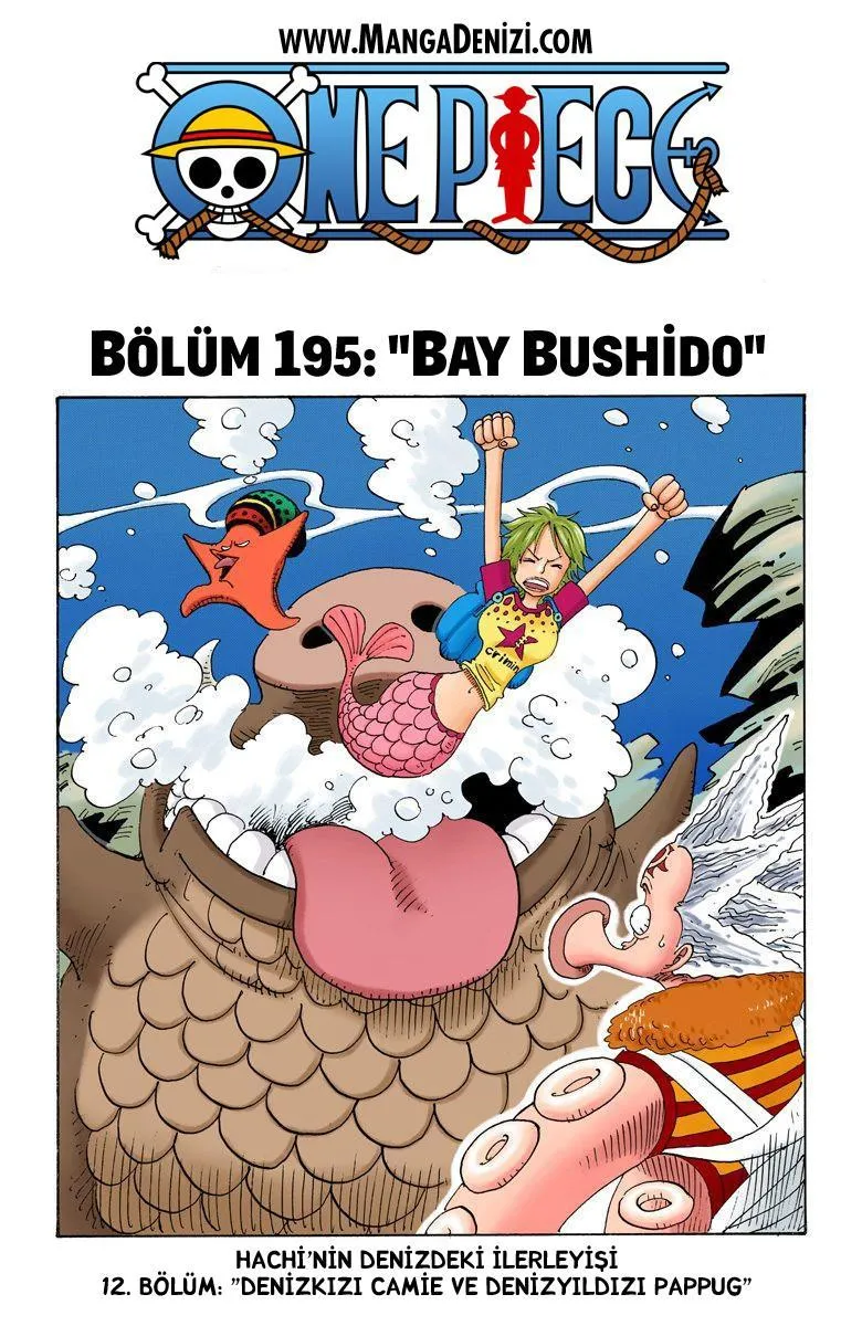 One Piece [Renkli] - Sayfa 2