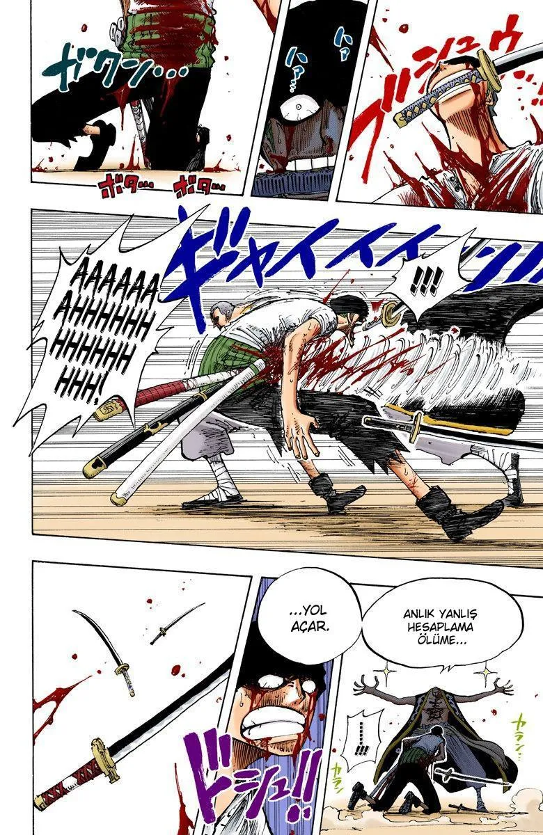 One Piece [Renkli] - Sayfa 11