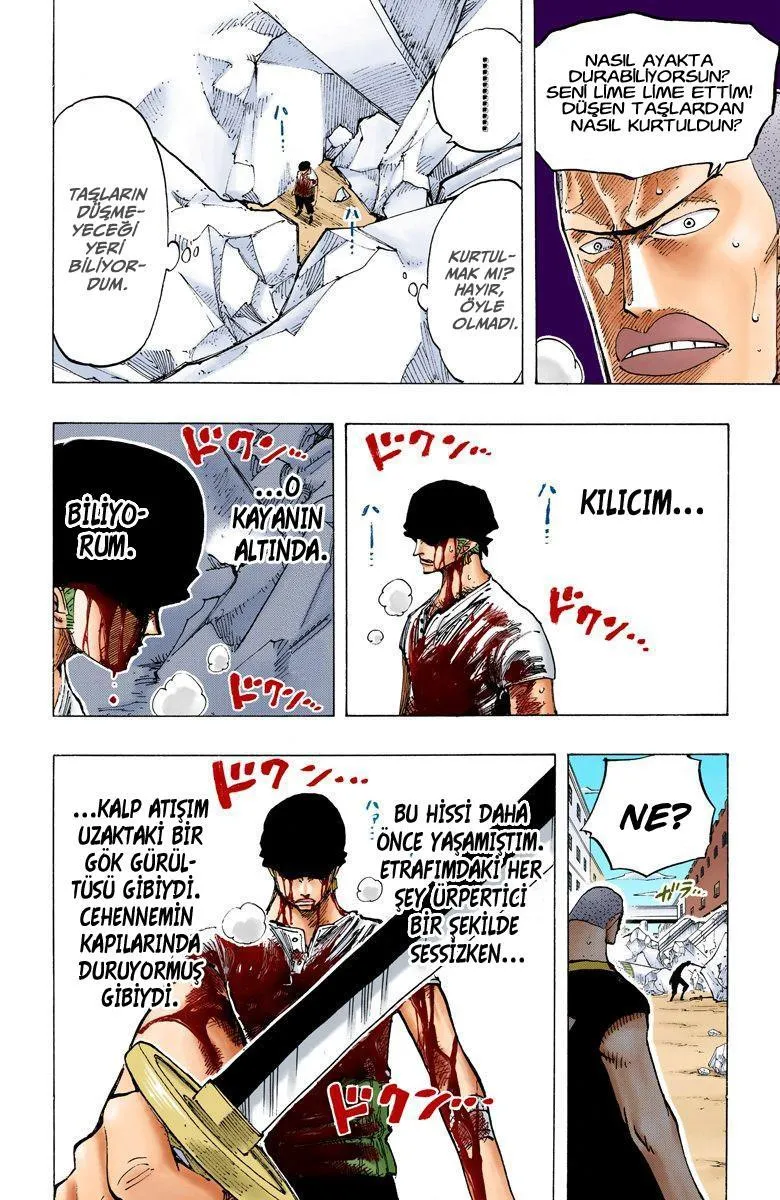 One Piece [Renkli] - Sayfa 17