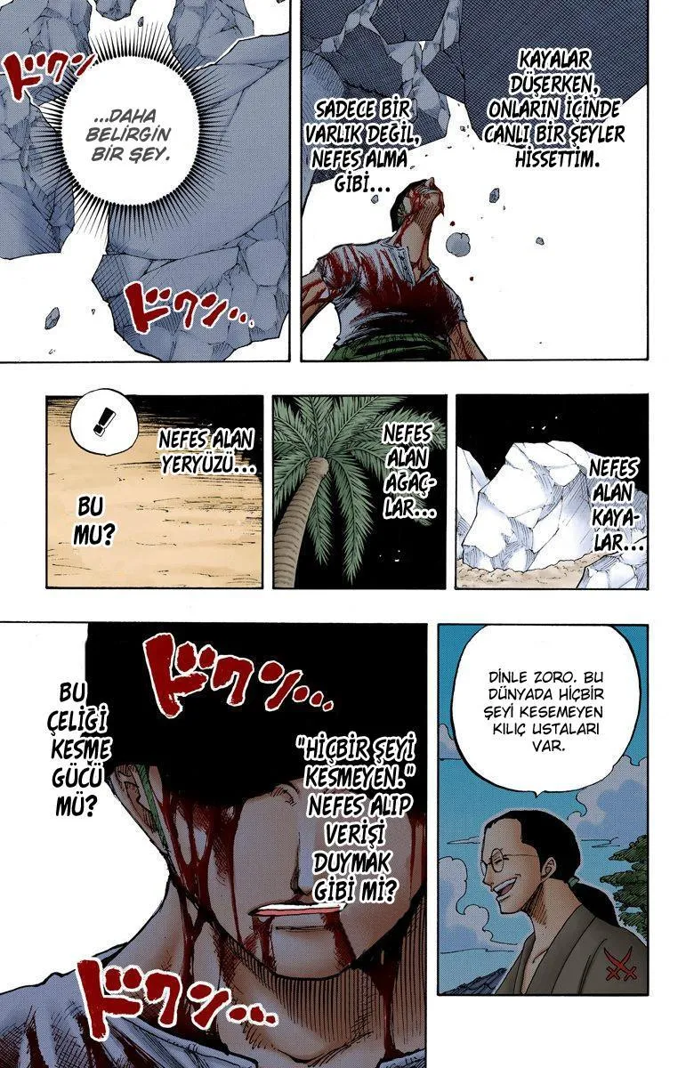 One Piece [Renkli] - Sayfa 18