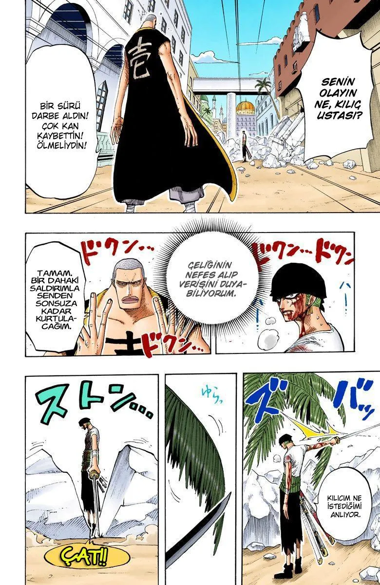 One Piece [Renkli] - Sayfa 19