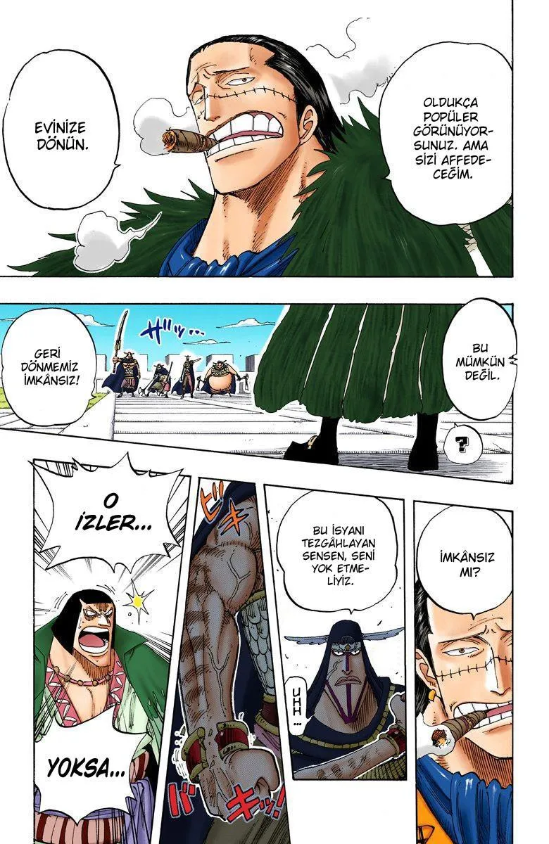 One Piece [Renkli] - Sayfa 6