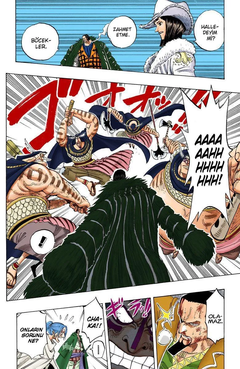 One Piece [Renkli] - Sayfa 7