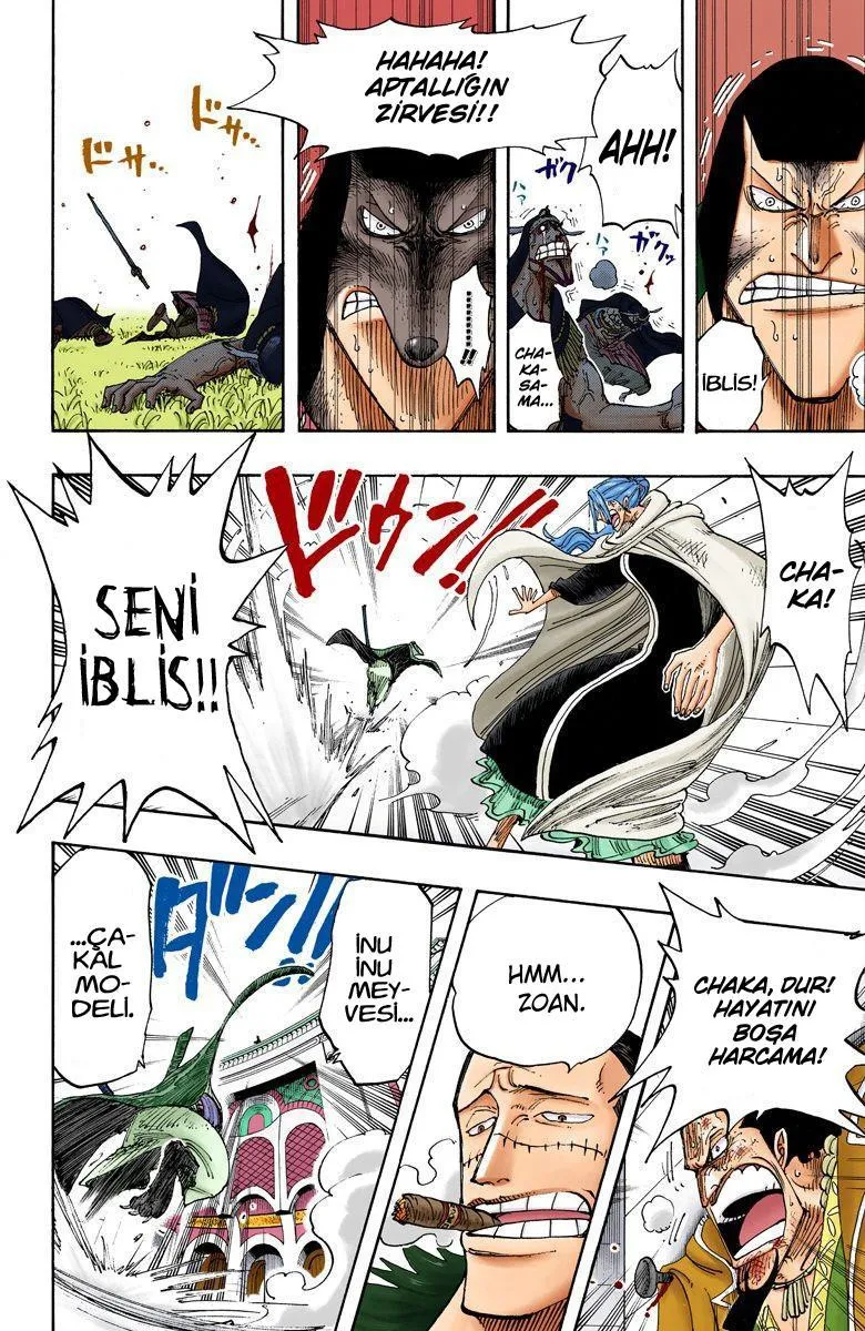 One Piece [Renkli] - Sayfa 11