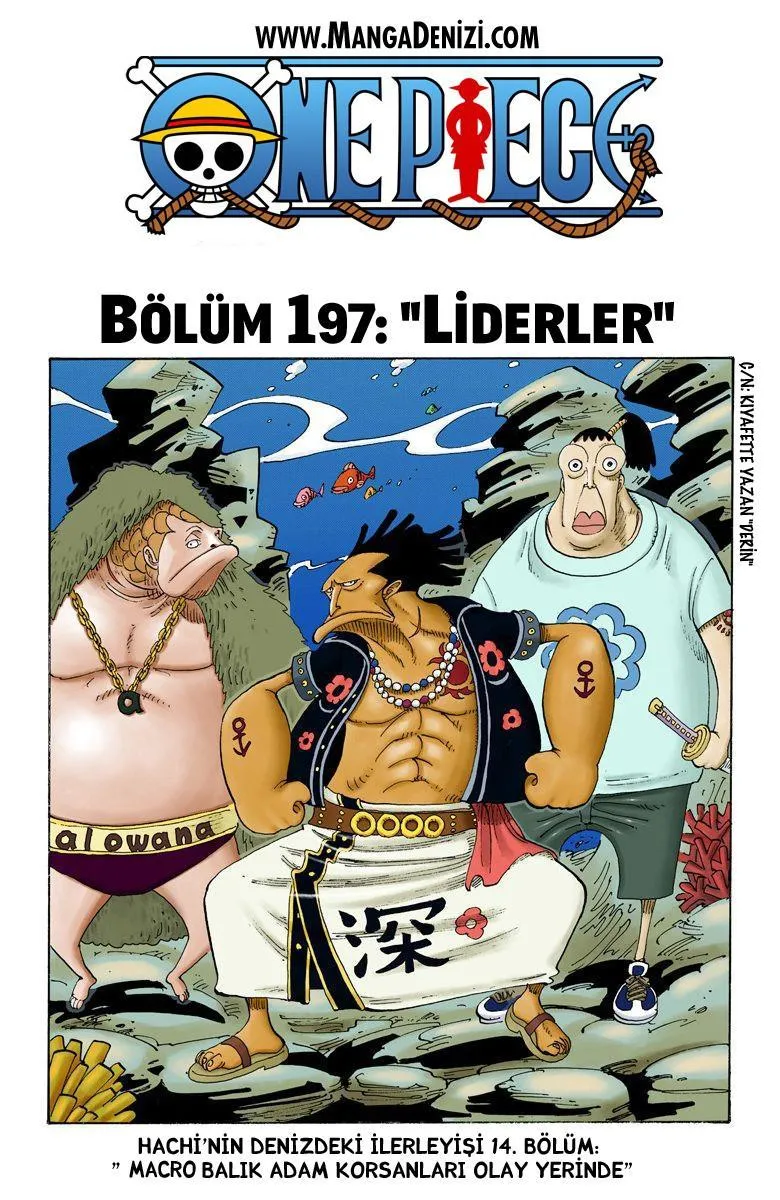 One Piece [Renkli] - Sayfa 2