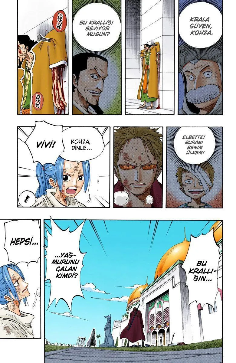 One Piece [Renkli] - Sayfa 6