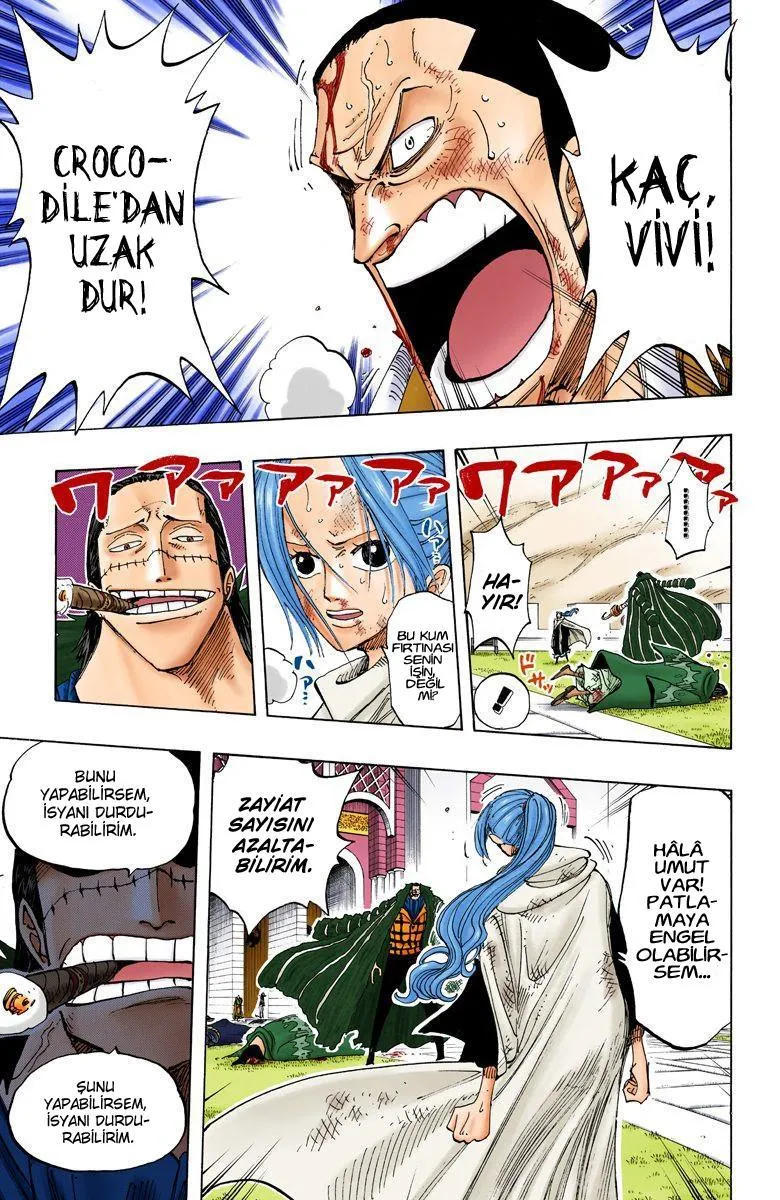 One Piece [Renkli] - Sayfa 10