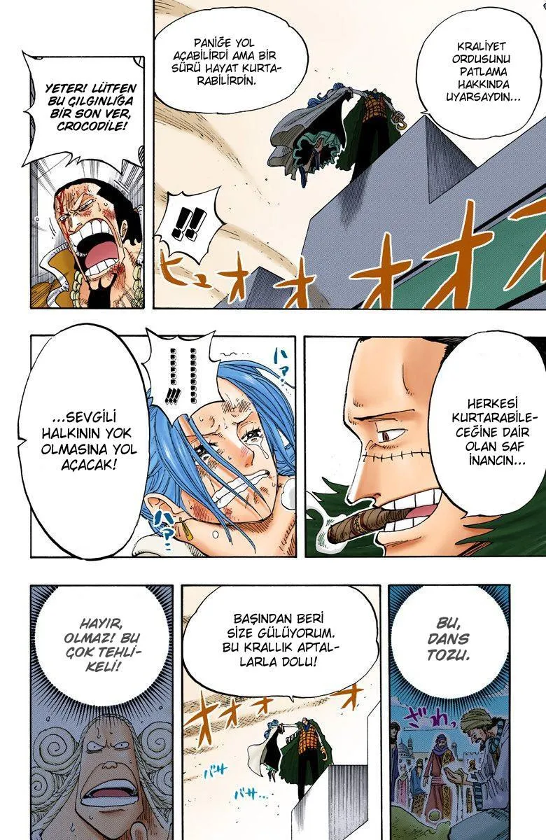 One Piece [Renkli] - Sayfa 13