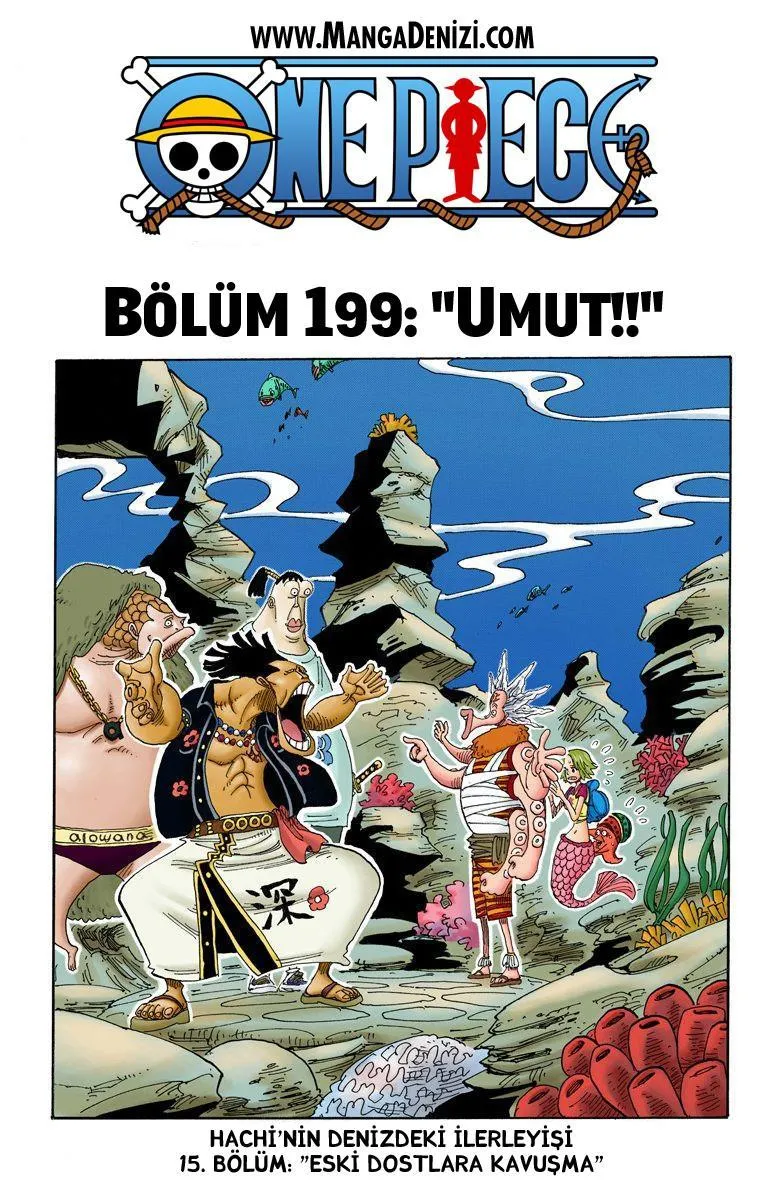 One Piece [Renkli] - Sayfa 2