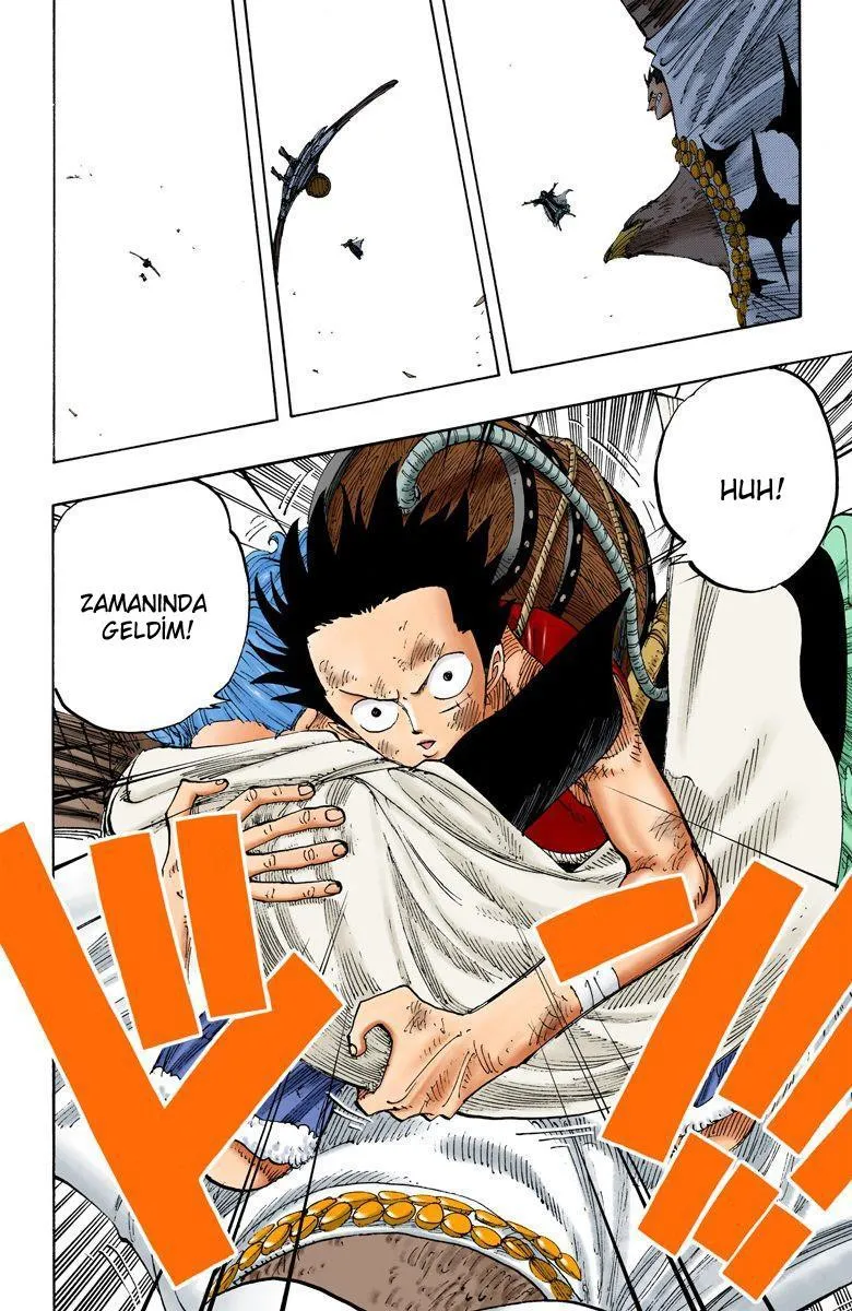 One Piece [Renkli] - Sayfa 3