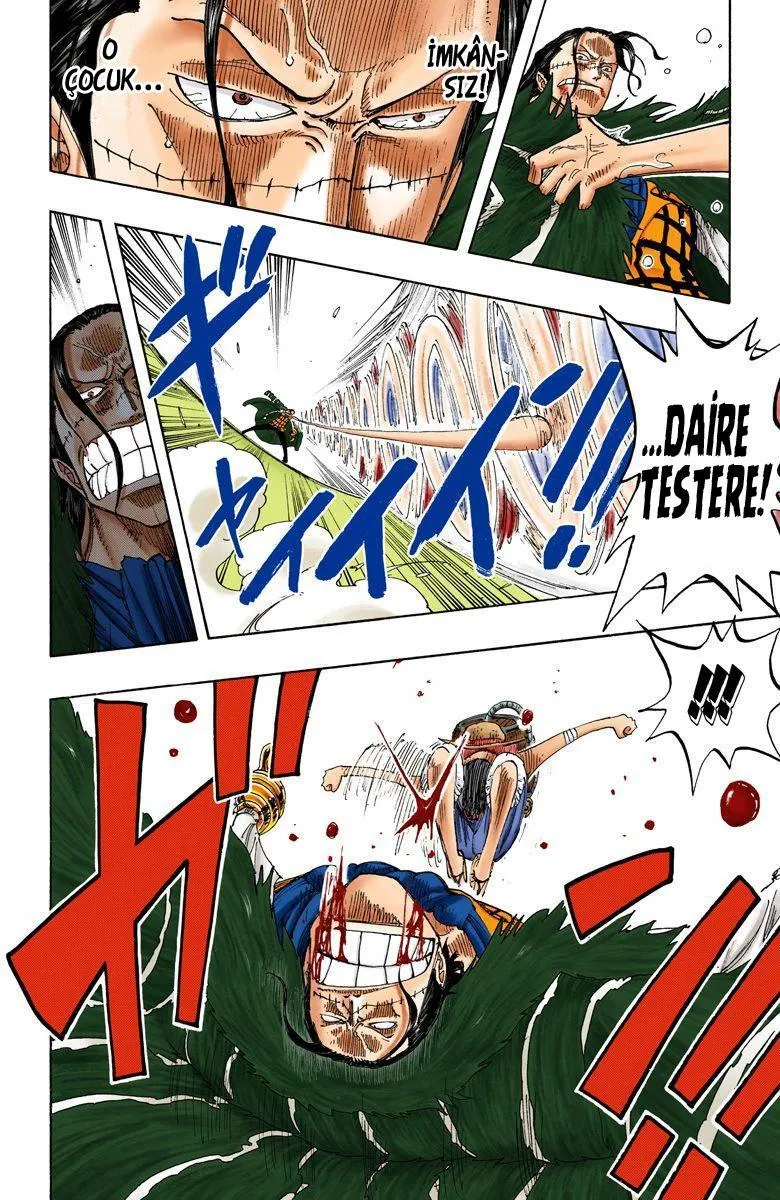 One Piece [Renkli] - Sayfa 16