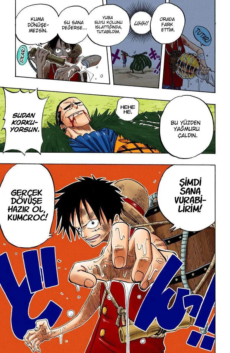 One Piece [Renkli] - Sayfa 19