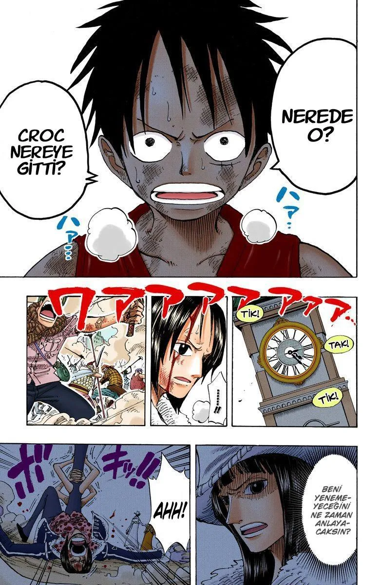 One Piece [Renkli] - Sayfa 14