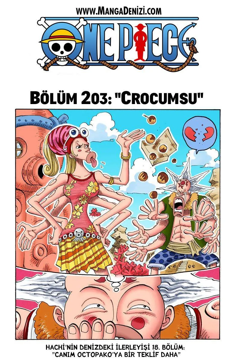 One Piece [Renkli] - Sayfa 2