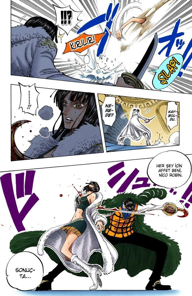 One Piece [Renkli] - Sayfa 11