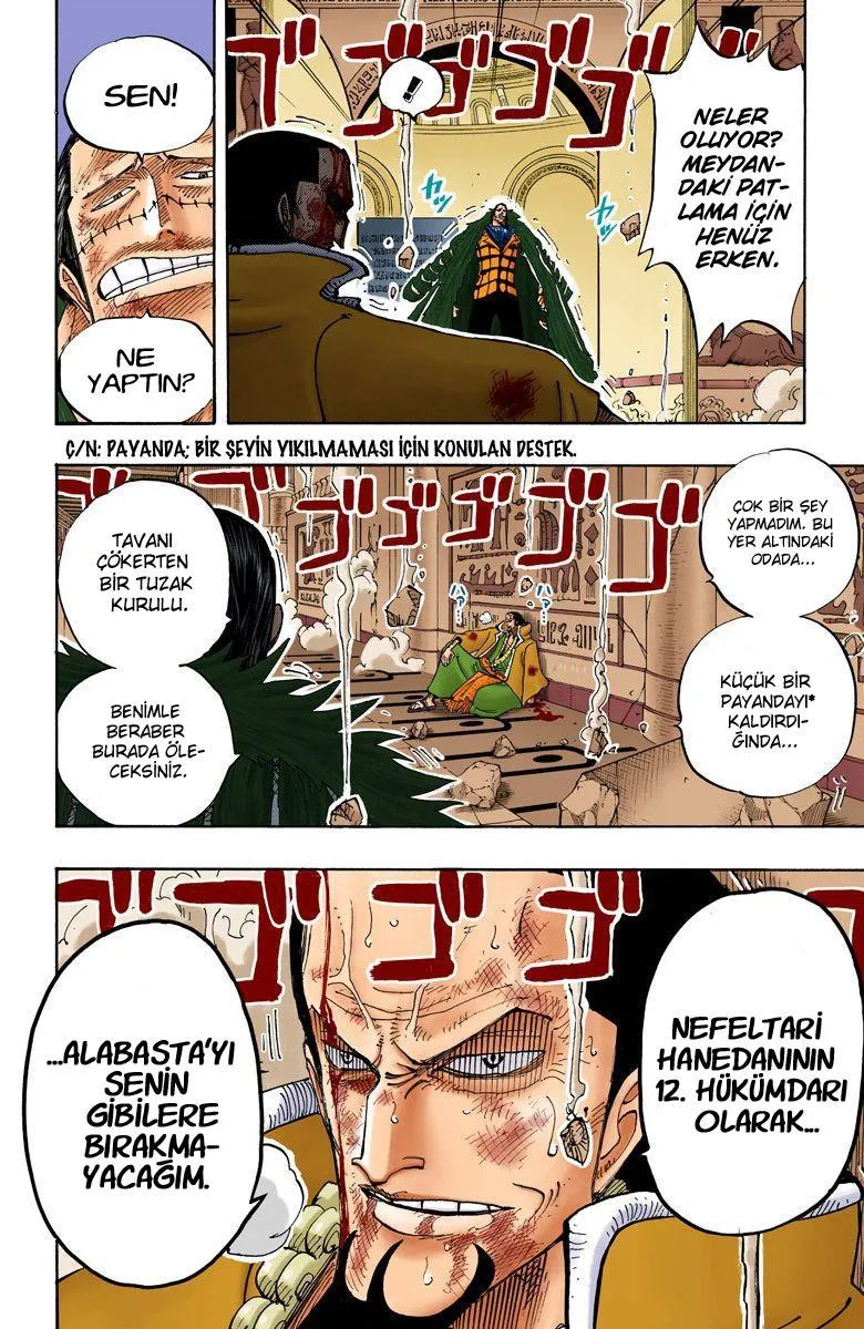 One Piece [Renkli] - Sayfa 13