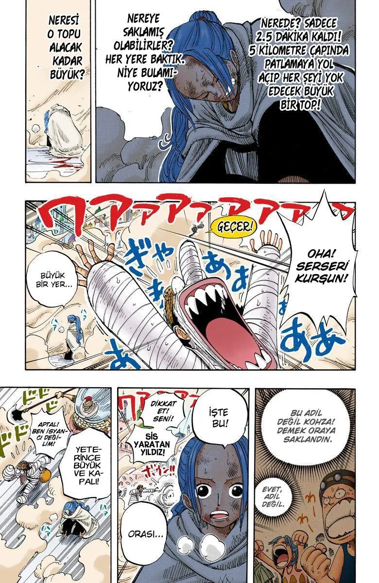 One Piece [Renkli] - Sayfa 16