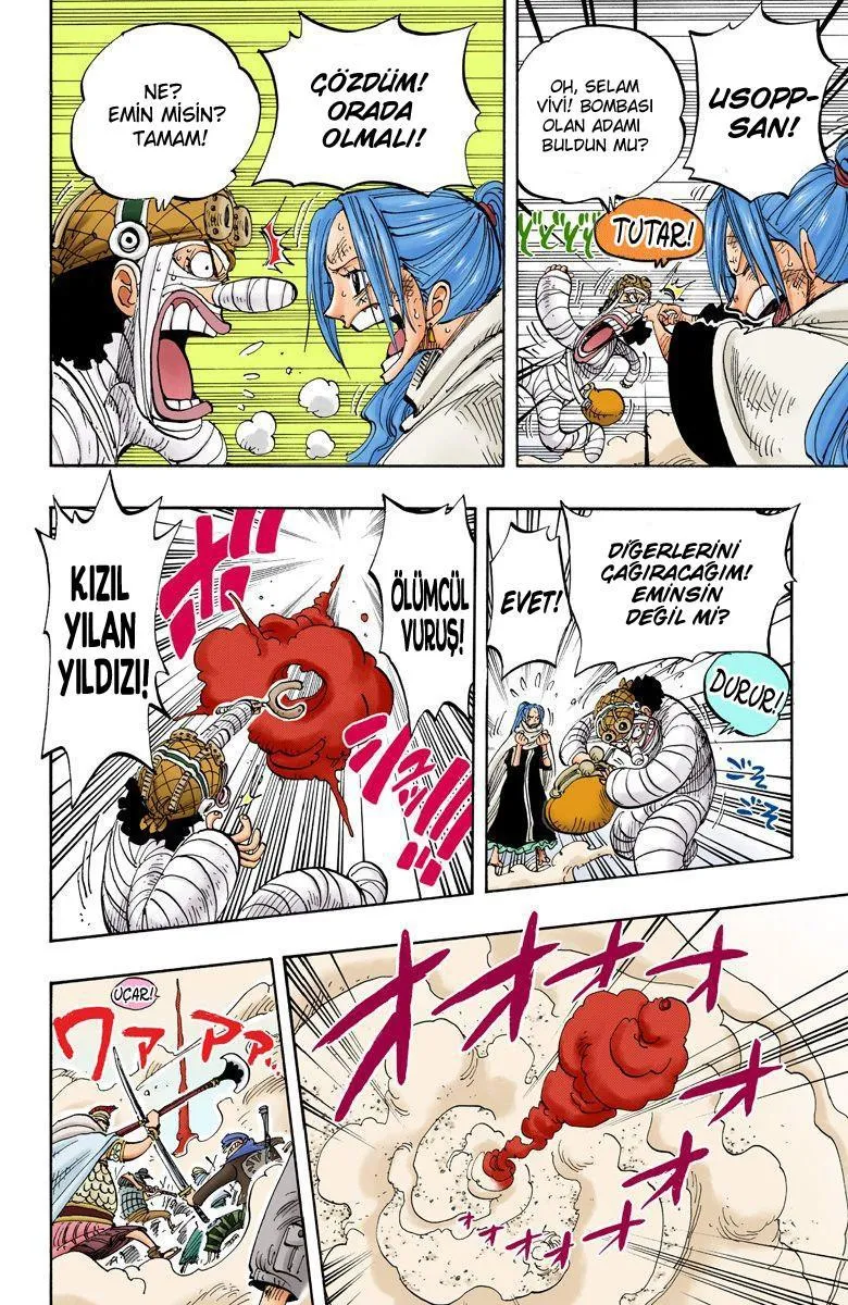 One Piece [Renkli] - Sayfa 17