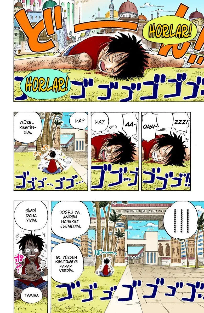 One Piece [Renkli] - Sayfa 19