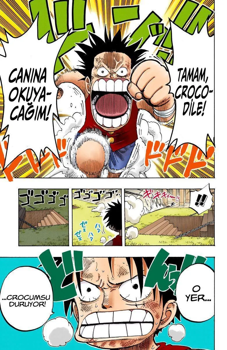 One Piece [Renkli] - Sayfa 20