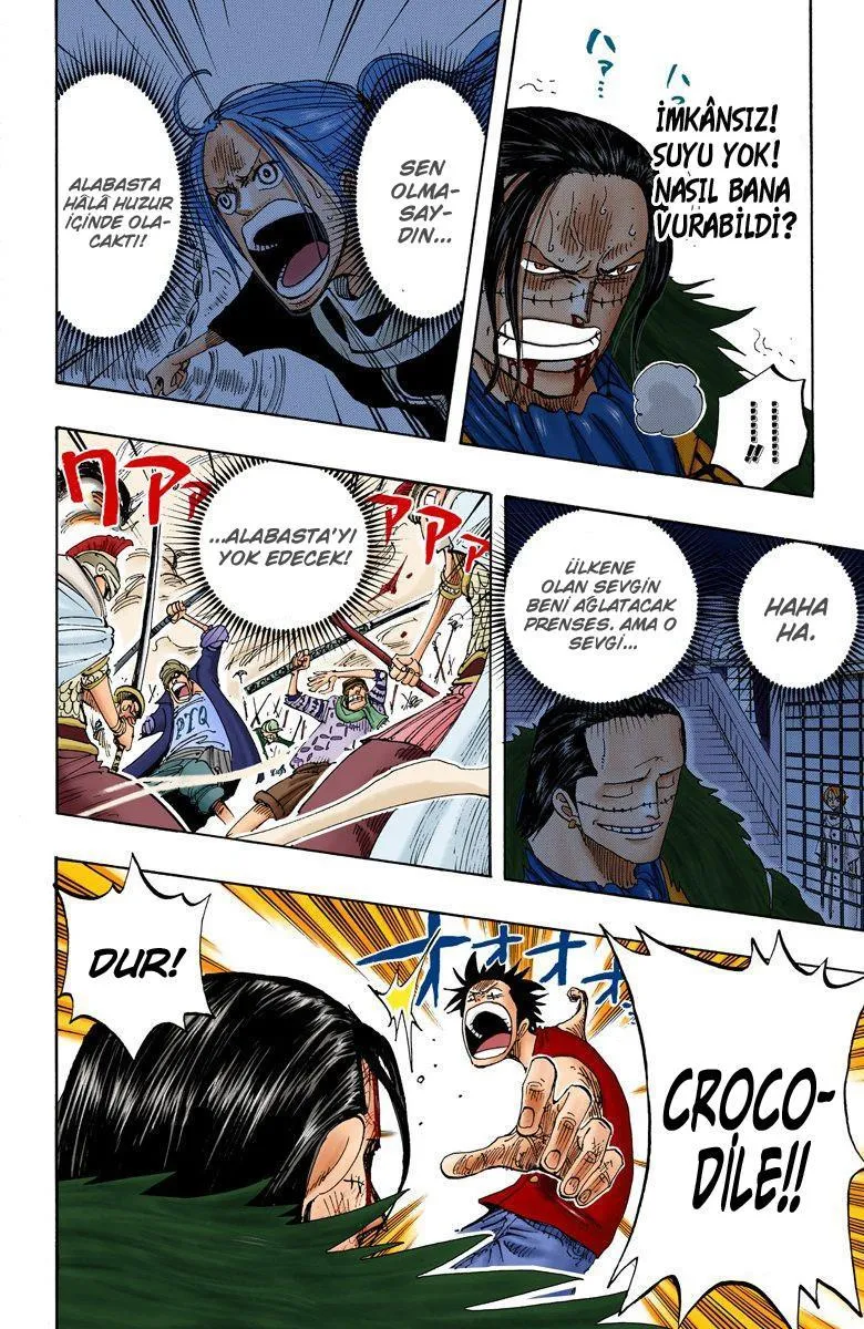 One Piece [Renkli] - Sayfa 13