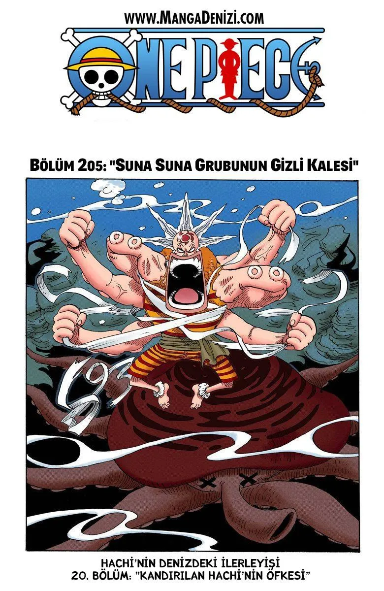 One Piece [Renkli] - Sayfa 2