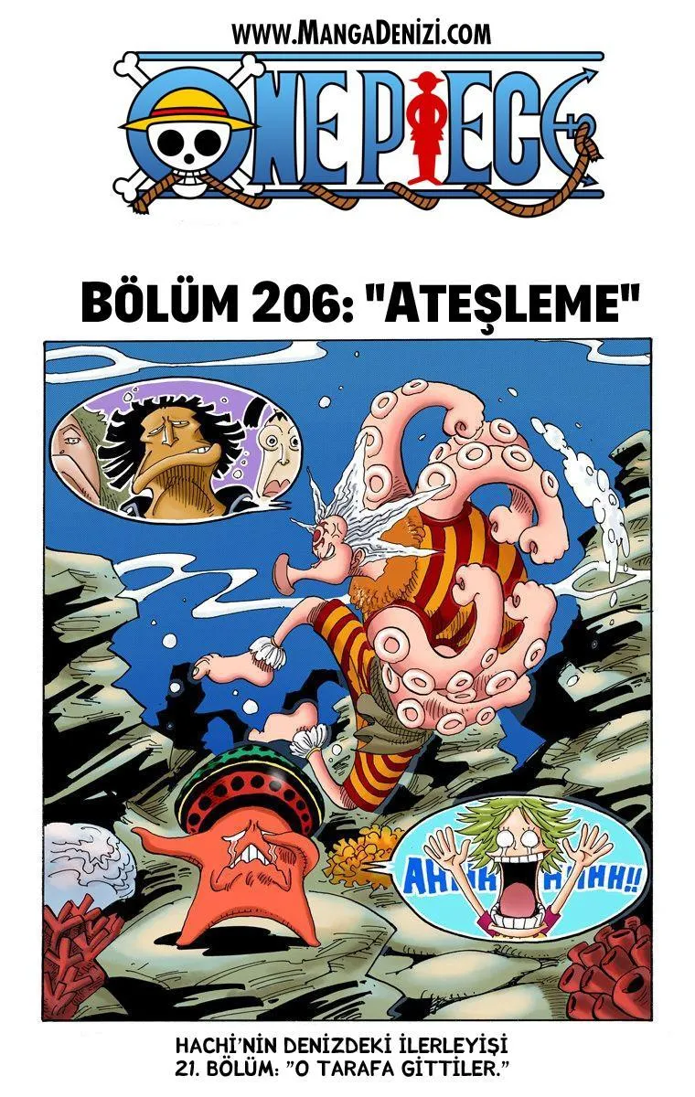 One Piece [Renkli] - Sayfa 2