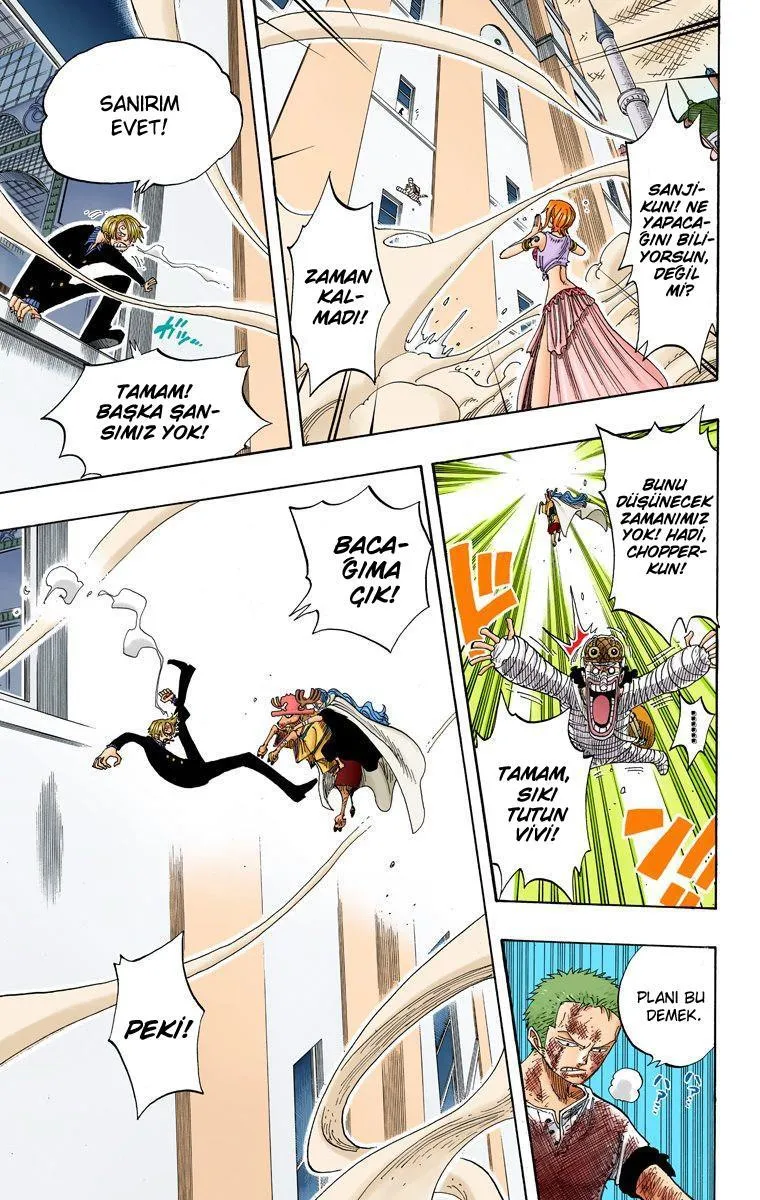 One Piece [Renkli] - Bölüm 0206 - Sayfa 14