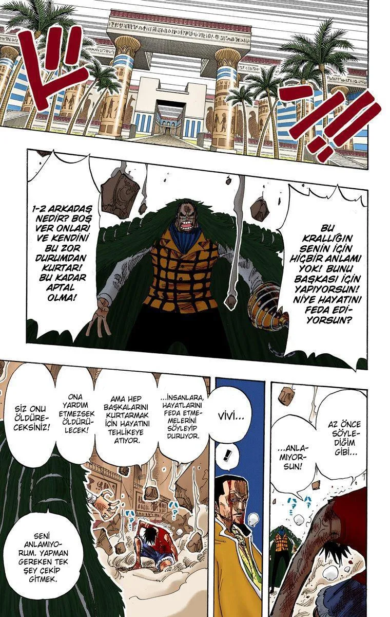 One Piece [Renkli] - Sayfa 18