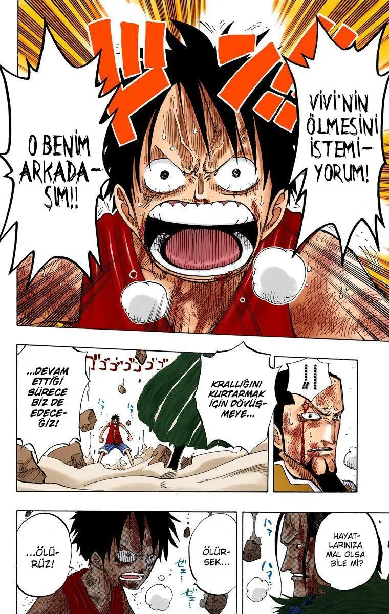 One Piece [Renkli] - Sayfa 19