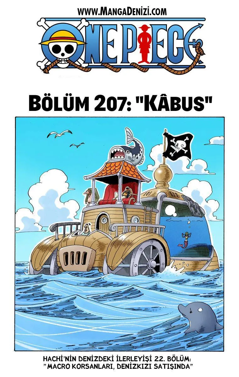 One Piece [Renkli] - Sayfa 2