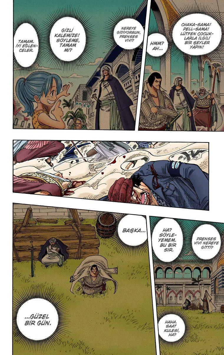 One Piece [Renkli] - Sayfa 15