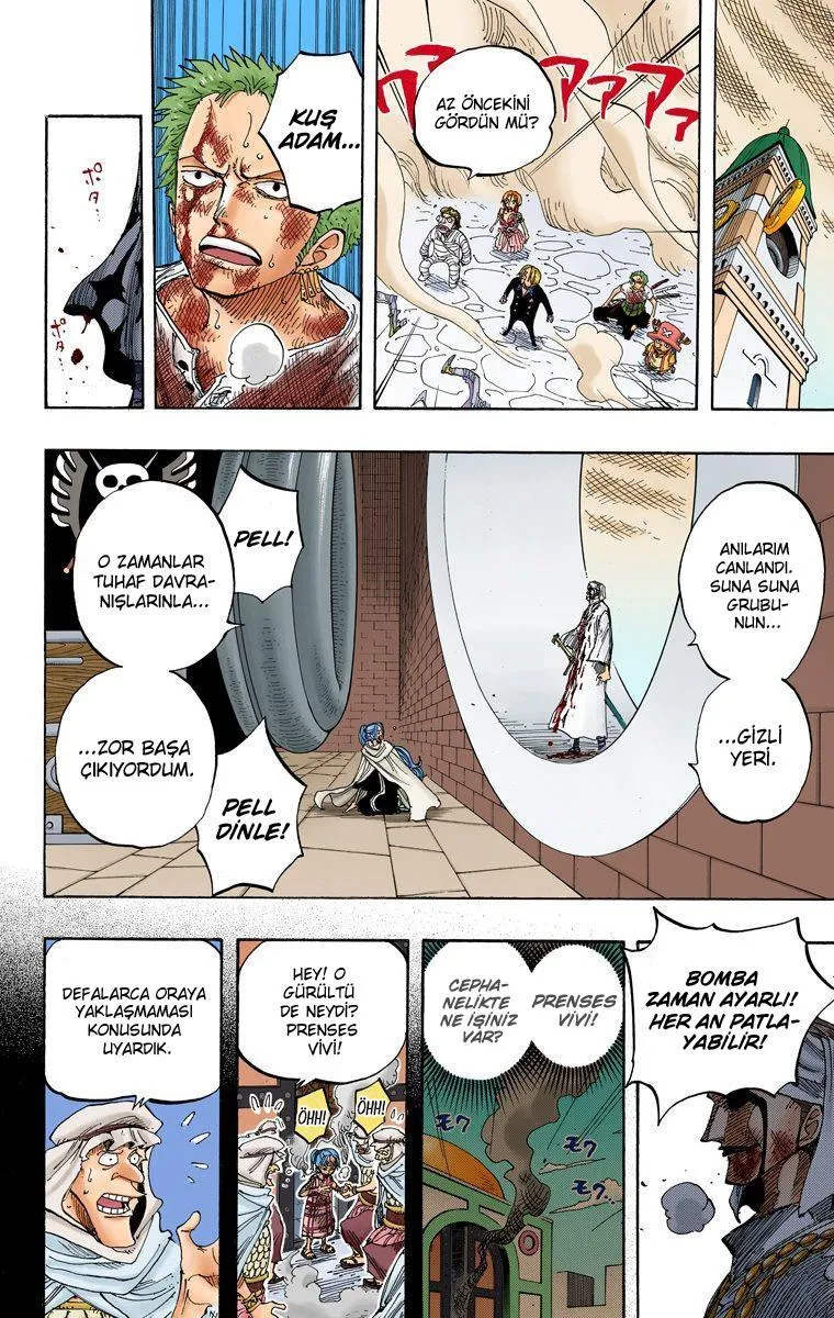 One Piece [Renkli] - Sayfa 11