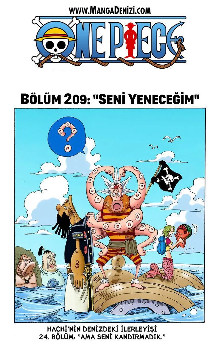One Piece [Renkli] - Sayfa 2