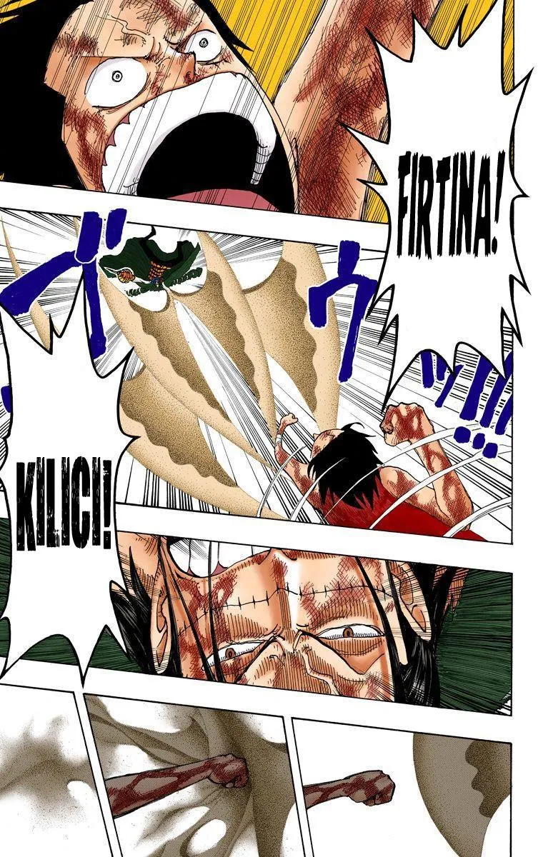 One Piece [Renkli] - Sayfa 16