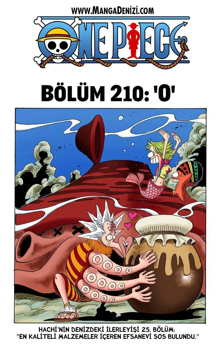 One Piece [Renkli] - Sayfa 2