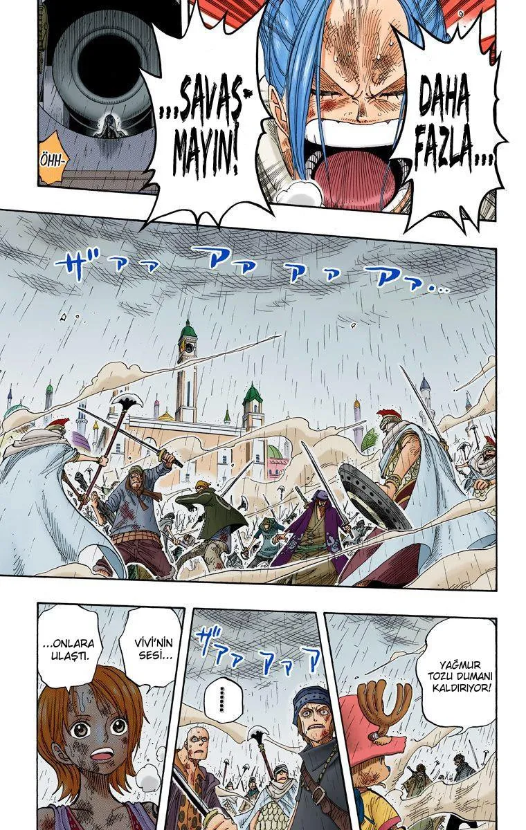 One Piece [Renkli] - Sayfa 14