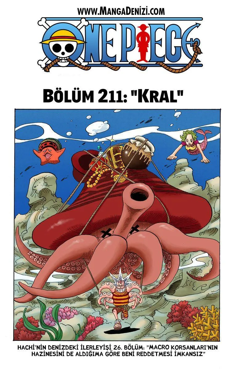 One Piece [Renkli] - Sayfa 2