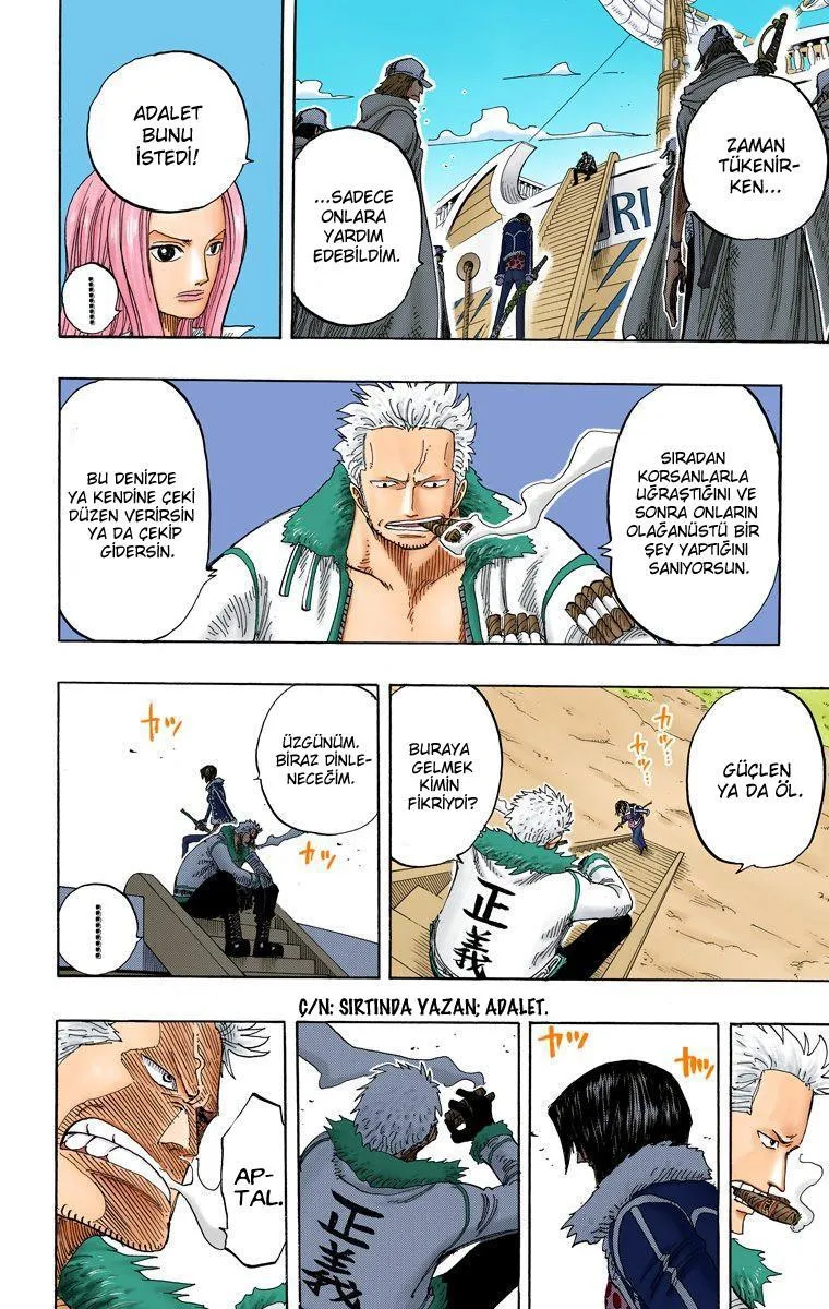 One Piece [Renkli] - Sayfa 17