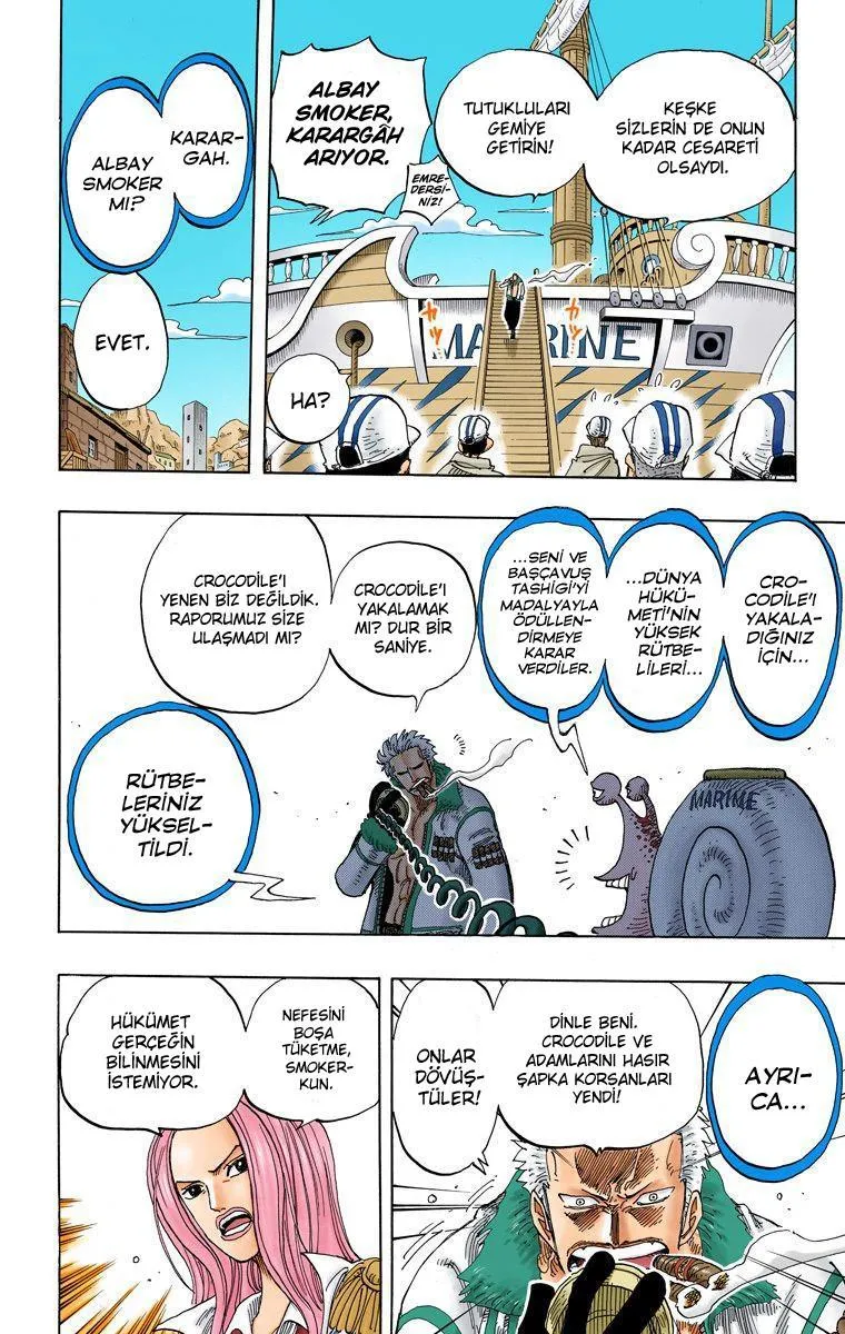 One Piece [Renkli] - Sayfa 19