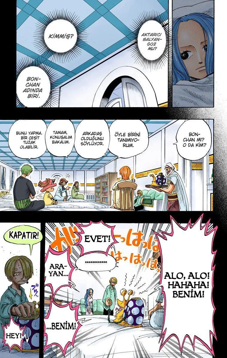 One Piece [Renkli] - Sayfa 12