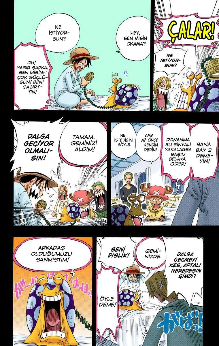 One Piece [Renkli] - Sayfa 13