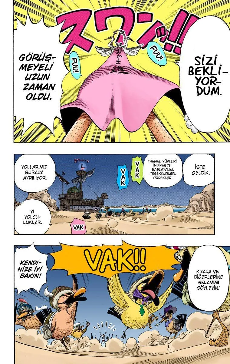 One Piece [Renkli] - Sayfa 17