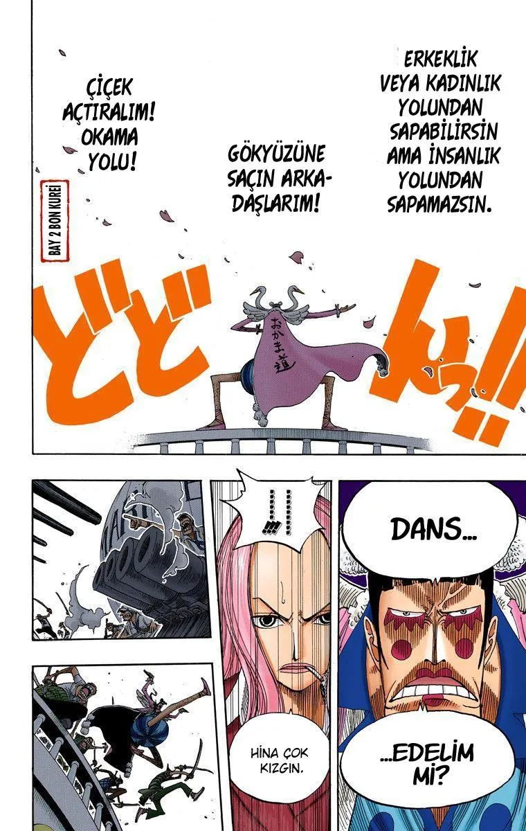 One Piece [Renkli] - Sayfa 19