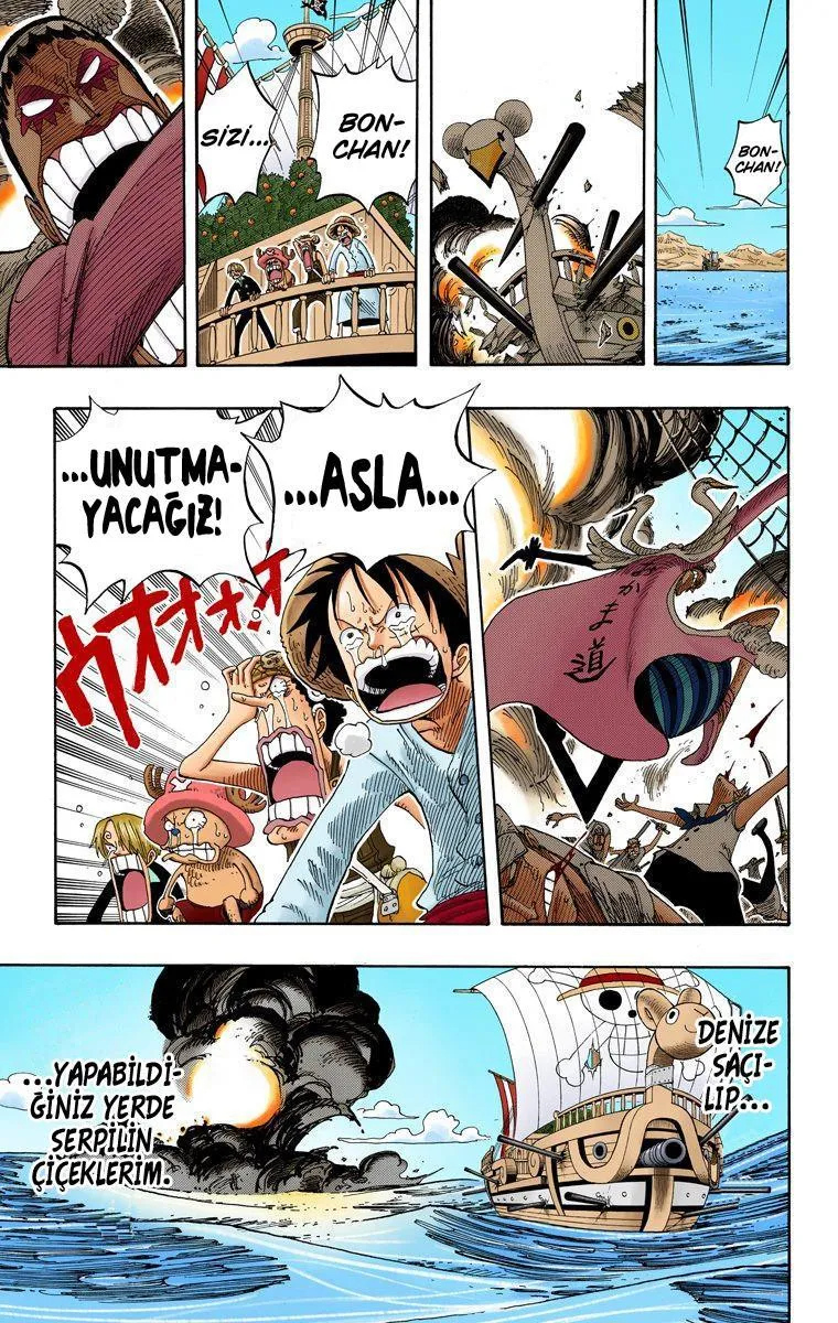 One Piece [Renkli] - Bölüm 0215 - Sayfa 20